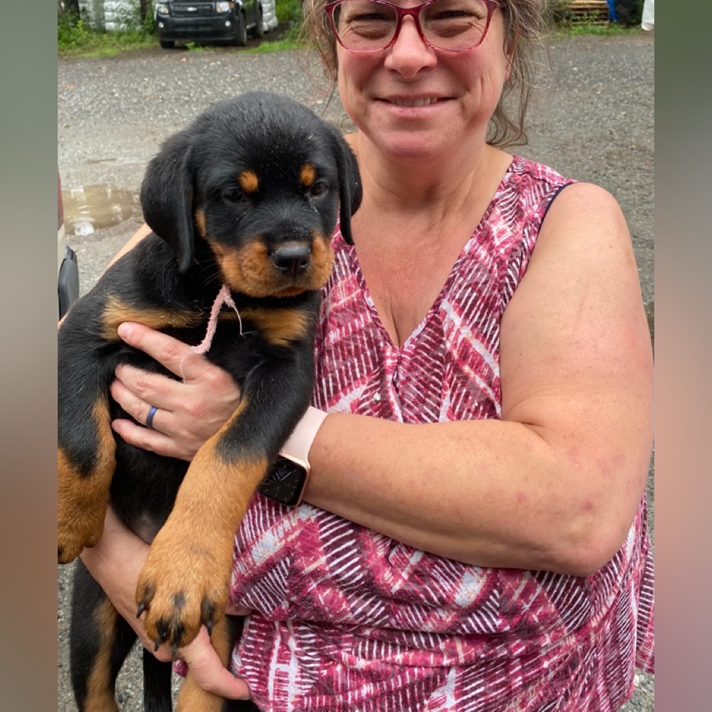 Meet your Posher, Julie